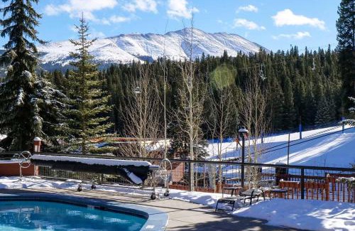Peak 9 Apartment | Ski In Ski Out Studio Dog Friendly Beaver Run Building 4
