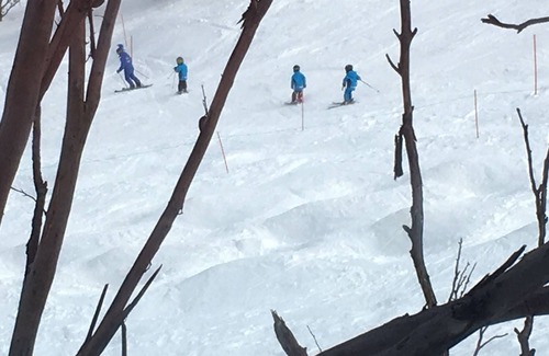 Mount Buller Apartment | Ski In Ski Out Sun Valley on Chamois, overlooking Chamois Run. Watch Mogul comps