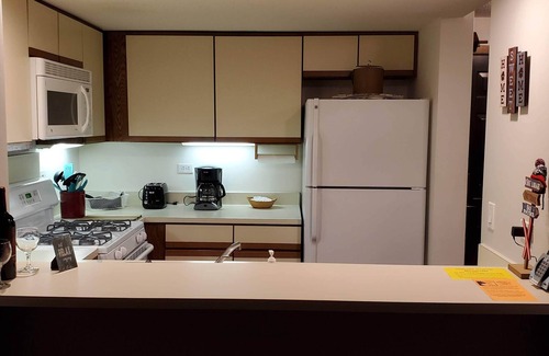 Central Vermont- Killington Condo | Ski In/Ski Out, Sunrise Killington 1BR, 2 pull-outs, 1Q/1F smart condo w/views