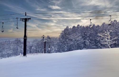 Kitaazumi-gun Hotel | SKI INN HAKUBA