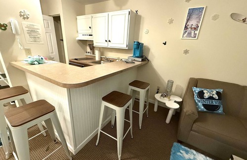 Hancock Apartment | Ski On Off Disney Mountain Suite Jiminy Peak- Sleeps4- The Most Magical Berkshi