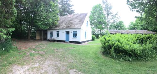 Hjørring Municipality House | Skovhuset