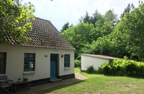 Hjørring Municipality House | Skovhuset