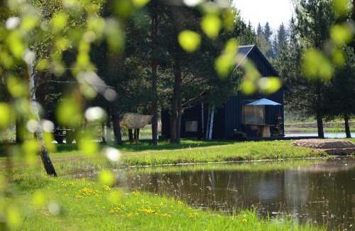 Kurzeme House | Skujiņa