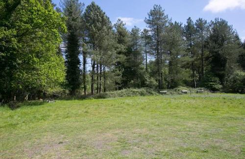 Wareham Apartment | Sky Cabin. Cosy Forest Log Cabin 3 night minimum