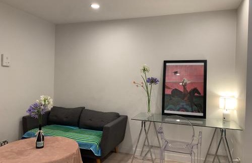 Auckland Central Business District Apartment | Sky Stars Essential Reserve