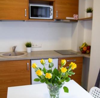 Vilnius city municipality Apartment | Sky Studio near the Vilnius Center