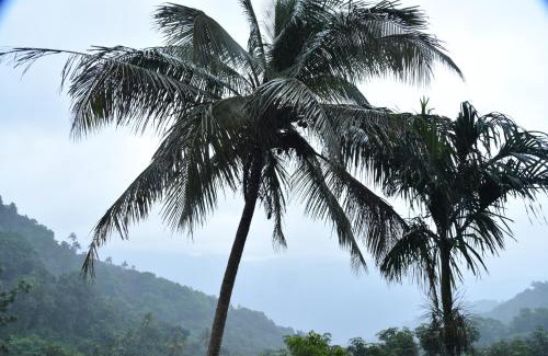 Elappara House | Skylark Homestay Panchalimedu