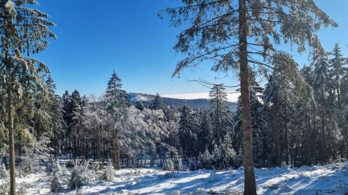 Koenigstein im Taunus Apartment | Skyline-Blick