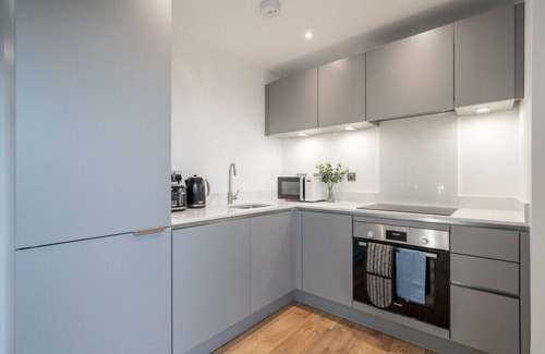 Woolwich Riverside Apartment | Skyvillion - River Thames Deluxe ExCel/02/City AP