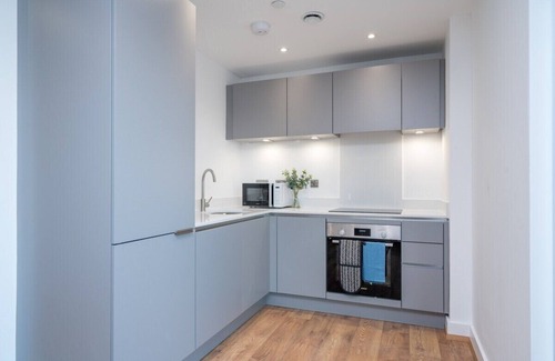 Woolwich Riverside Apartment | Skyvillion - River Thames Deluxe ExCel/02/City AP