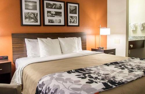 Ormond Beach Hotel | Sleep Inn Ormond Beach - Daytona