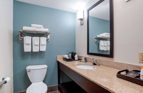 Auburn Hotel | Sleep Inn & Suites Auburn Campus Area I-85