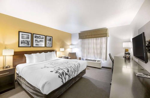 Carlsbad Hotel | Sleep Inn & Suites Carlsbad Caverns Area