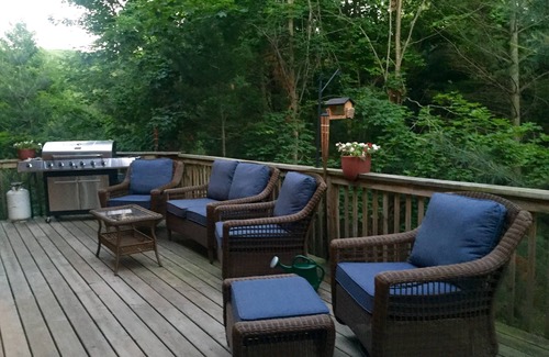 Maple City Ski Chalet | Sleeping Bear Dunes Hidden Gem ~ Perfect Family Vacation!
