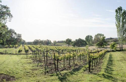 Shenandoah Valley House | Sleeps 12 Pet Friendly Next to Amador Top Wineries