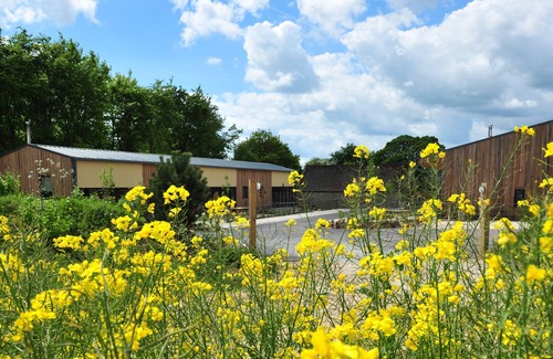 Chedworth House | Sleeps 8, 4 Bedrooms, Dogs Welcome, No Smoking, Wood burner, Wi-Fi*, Garden, Games Room