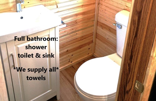 Lansing Hotel | Sleeps up to 2, electric, water, kitchenette, full bathroom, air conditioned/heated.