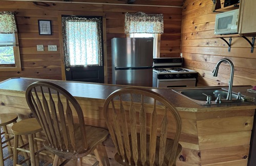 Chestertown House | Sleepy Hollow, Pool/AC/Fireplace,Cabin Steps to Loon Lake