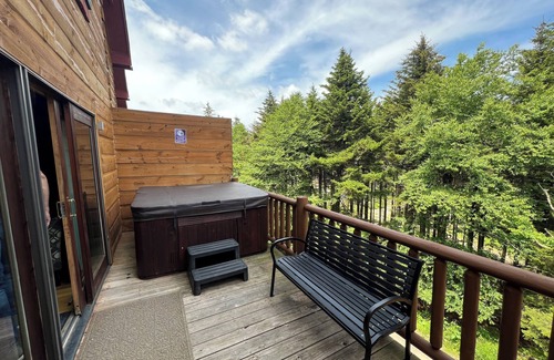 Snowshoe Ski Chalet | Slope-side Villa Ski-in/Ski-Out at Loggers Run 21
