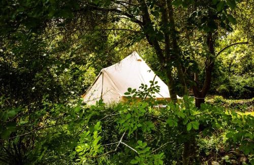 Vedevag Other | Slow Life Sweden - Nature Nesting Tent