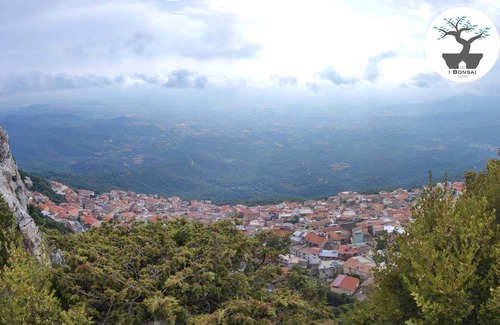 Talana Bed & Breakfast | Small B&B located in the wilderness of the east coast of Sardinia.