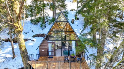 Adjara Villa | Small Forest