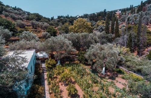 Andros Town House | Small Paradise