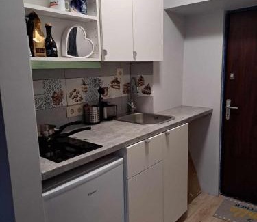 Agenskalns Apartment | Small studio beween the Old Town and the airport