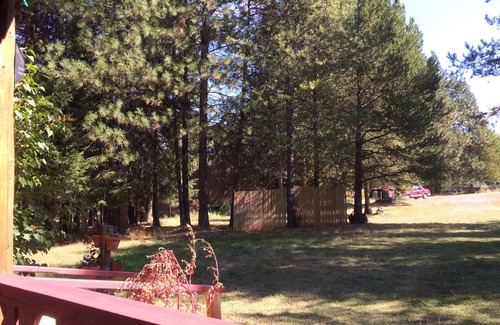Bonners Ferry Cabin | Small Vintage cabin, river/lakes/mountains! Hi-speed WiFi, Smart TV, pet fee