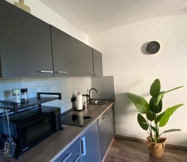 Siegen Apartment | Smart Housing