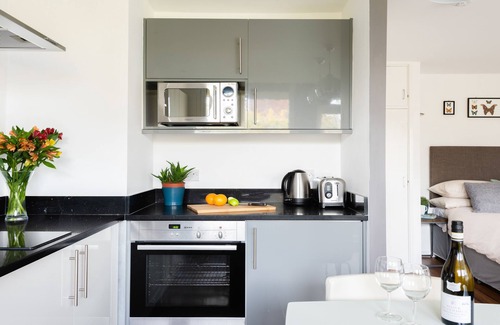 Pimlico Apartment | Smart Modern Studio in Pimlico with Garden Views