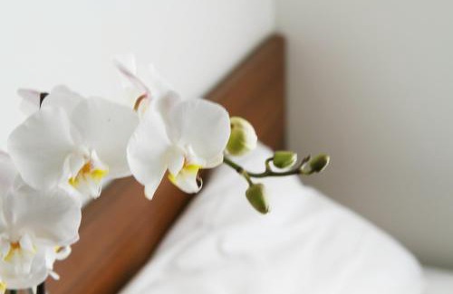 Tromso Hotel | Smarthotel Tromsø