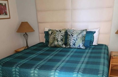 Kihei Condo | Snorkel In/Snorkel Out from Air Conditioned Condo at Beautiful Kamaole Nalu