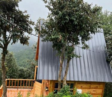 Kaul House | Snovika (The Organic Farms)