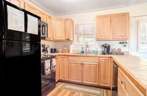 Beech Mountain Condo | Snow Haven: Walk to Resort | Pet-Friendly