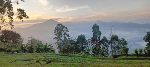 Lembang Other | Snow Princess Mountain Glamping Resort at Clubbali,Lembang