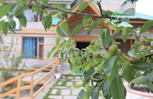 Vashist Hotel | Snow River, Manali