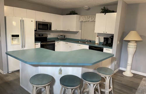 The Villages House | Snow’s Florida Retreat