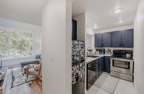 Glacier Condo | Snowater Condo #42 - WiFi - Pets Ok