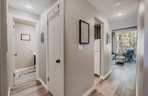 Glacier Condo | Snowater Condo #45 - Wi-Fi - Fireplace - Washer/Dryer - Sleeps 4