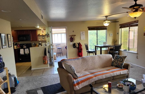 Quail Canyon Condo | Snowbirds, Medical Professionals. SABINO Canyon!! Perfect Palace & Location!!