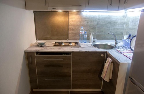 Bakurianis Andeziti Apartment | Snowcave