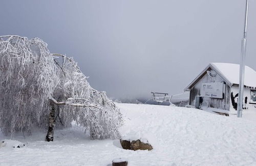 Mount Buller Apartment | SNOWFLAKE 14 - Mt Buller Village Family Accommodation