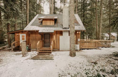 Glacier House | Snowline Cabin 35 - A-C - Pets Ok - Fireplace