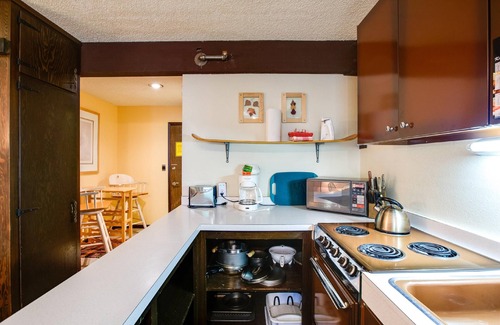 Glacier Condo | Snowline Lodge Condo #46 - Free Wi-Fi* - Sleeps 2