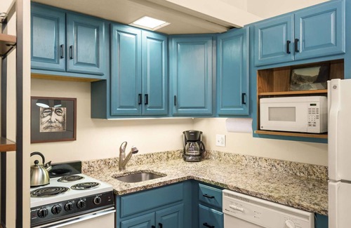 Snowmass Village Condo | Snowmass - Aspenwood L11