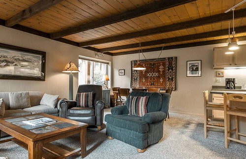 Snowmass Village Condo | Snowmass Vacations - Willows B3