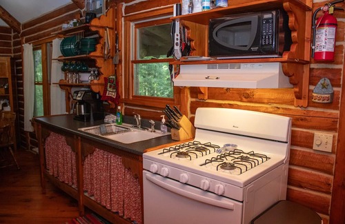 Slaty Fork Cabin | Snowshoe Log Cabin - Dancing Star