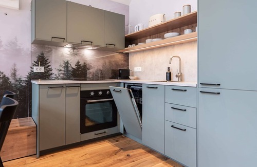 Bovec Apartment | Soča Valley Suites - Superior Apartment 28